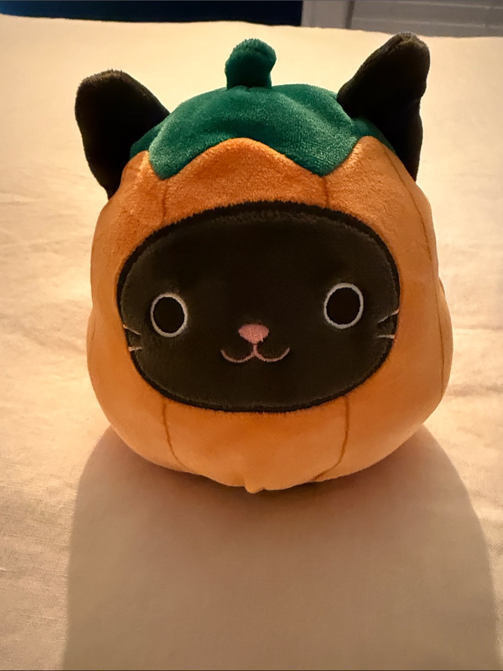 Squishmallows Orange Pumpkin Cat with Green Stem